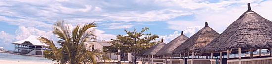 ���X�ʂ̃R���Z�v�g