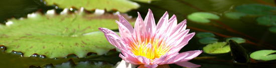 ハンドケアとフットケアの料金表