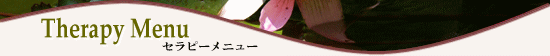 粋更彩セラピーメニュー