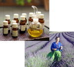 �A���}�I�C���ƃl���[�E�O���W����